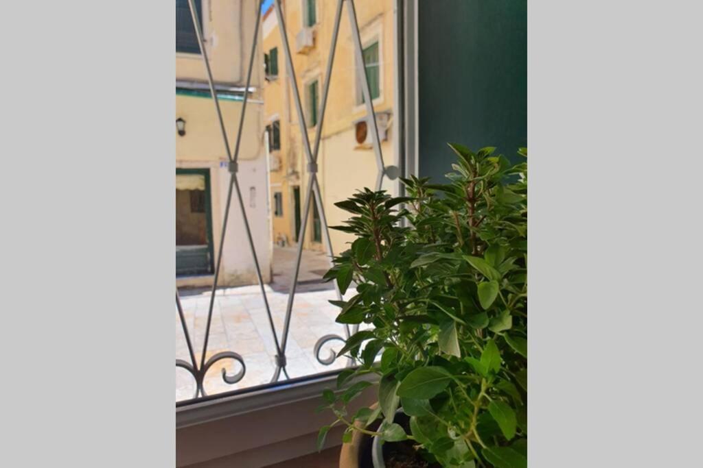 Elia Luxury Suite, Corfu Town Eksteriør bilde